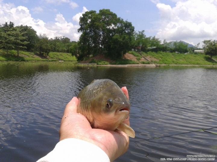 20150606_124758.jpg