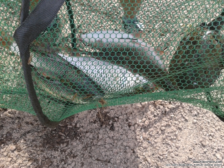 20150607_162557.jpg