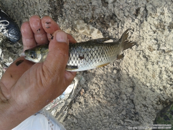 20150607_162636.jpg