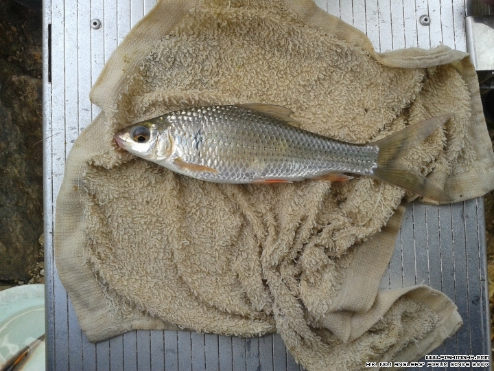 20150614_120445.jpg