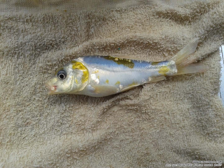 20150614_143551.jpg