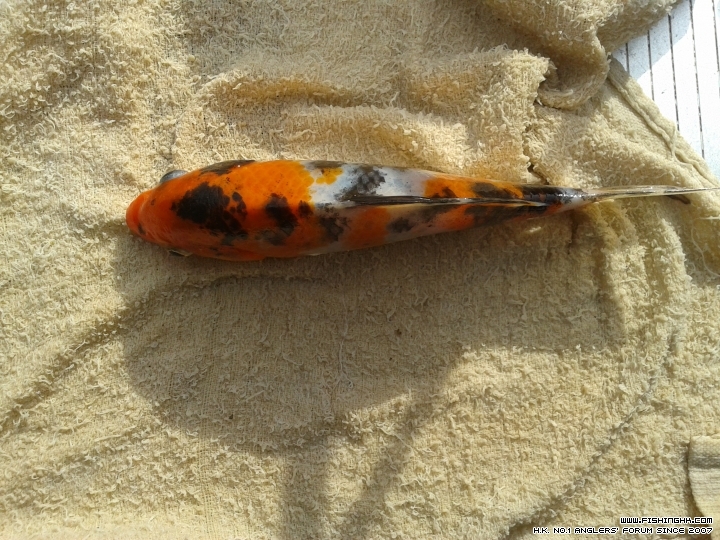 20150614_163953.jpg