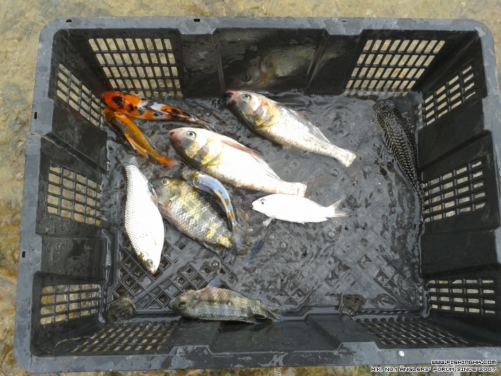 20150614_171513.jpg