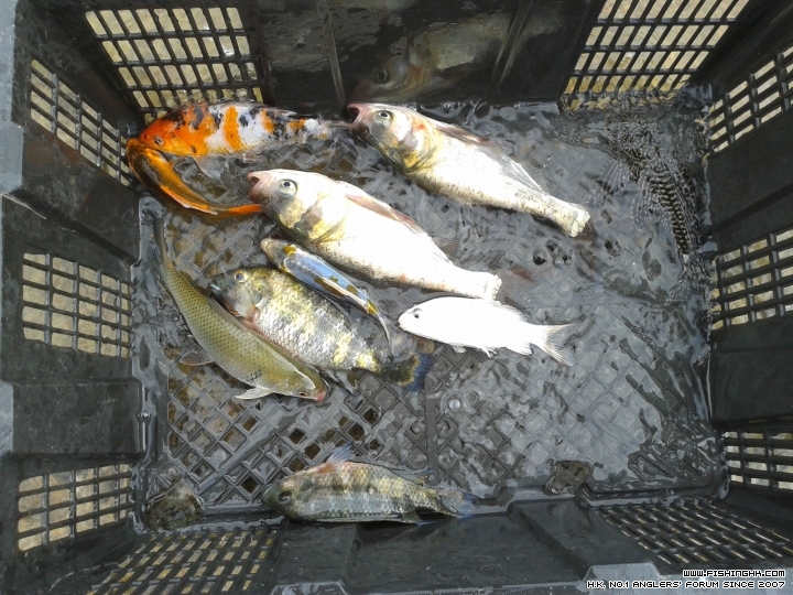 20150614_171515.jpg