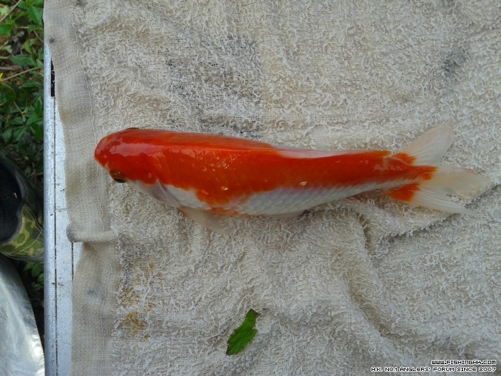 20150628_090022.jpg