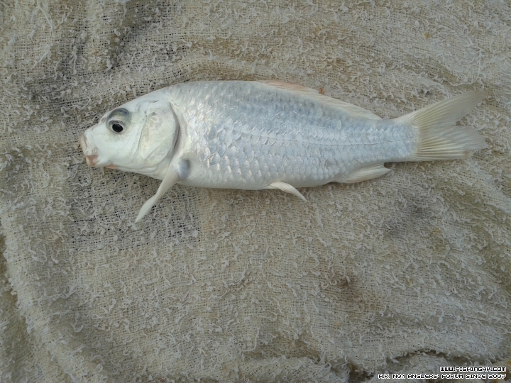 20150628_092337.jpg