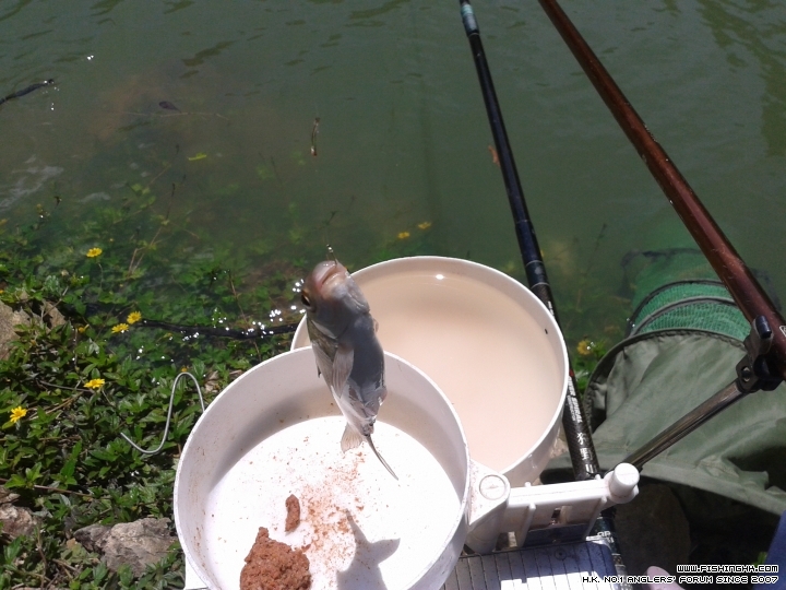 20150628_134143.jpg