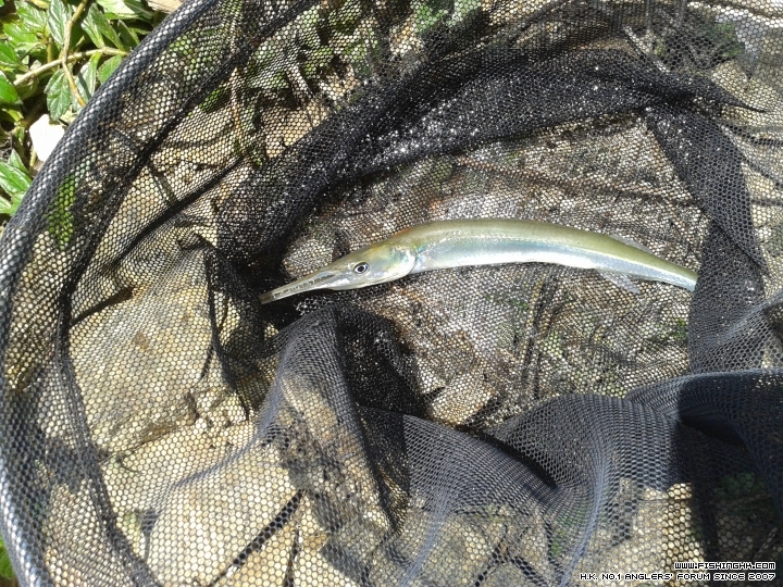 20150628_142111.jpg