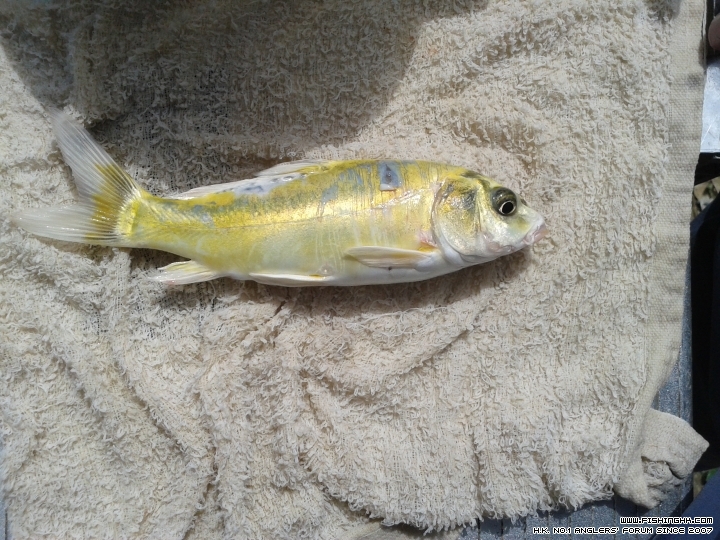 20150628_144117.jpg