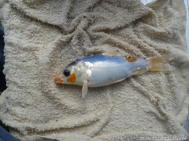 20150628_152459.jpg
