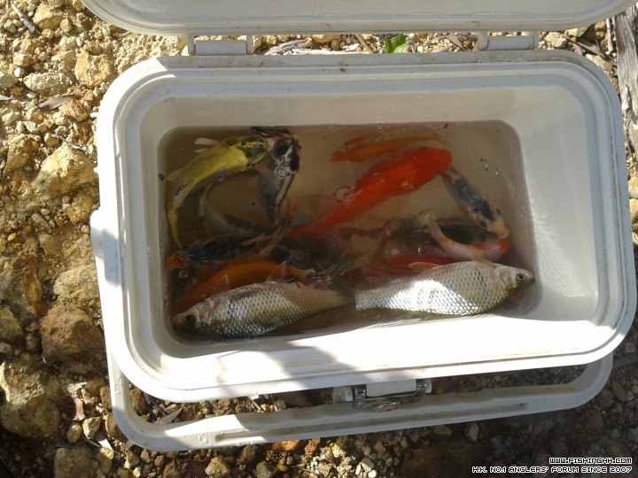 20150628_171651.jpg