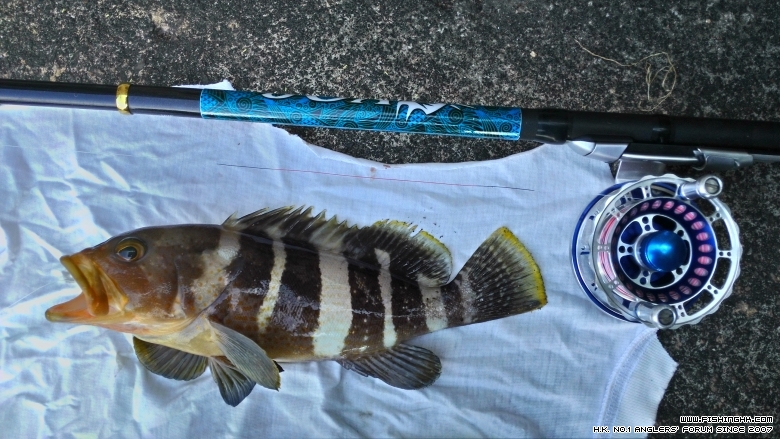 P_20141110_144457.jpg