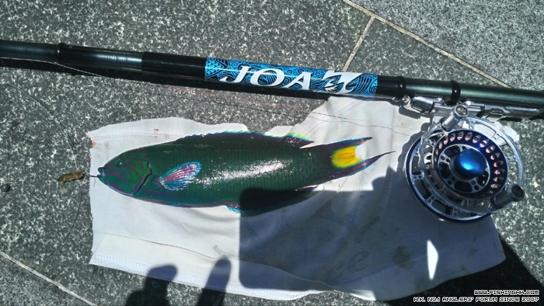 P_20150615_123506.jpg