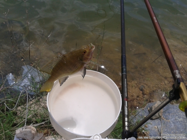 20150701_112120.jpg