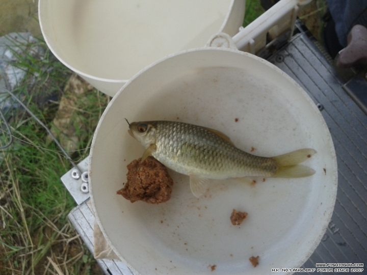 20150701_133023.jpg
