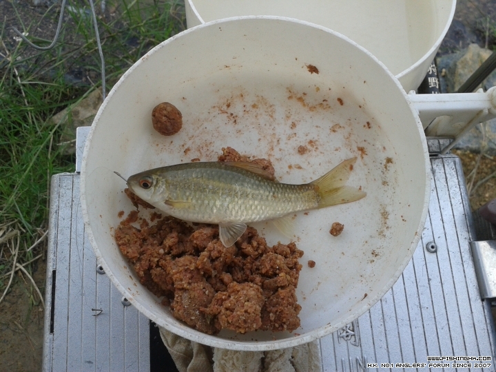 20150701_163204.jpg