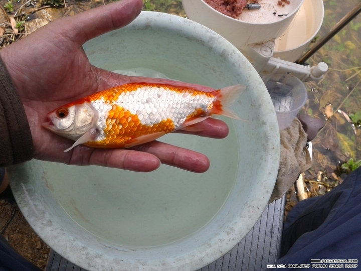 20150711_131216.jpg