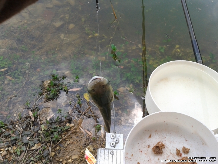 20150711_142354.jpg