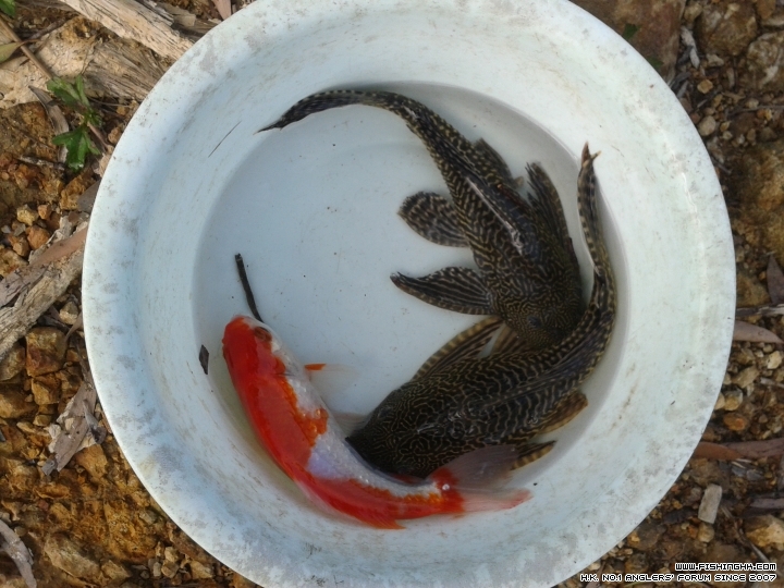 20150711_170229.jpg