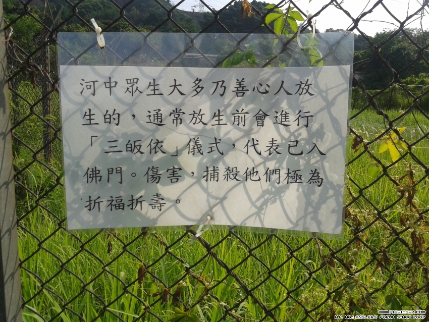 20150719_085148.jpg
