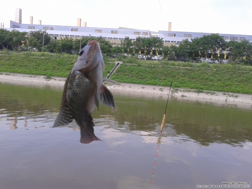 20150719_093959.jpg