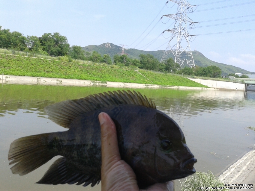 20150719_101835.jpg