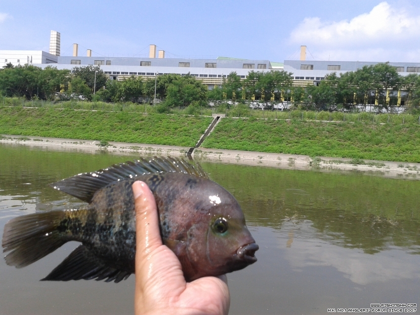 20150719_101853.jpg
