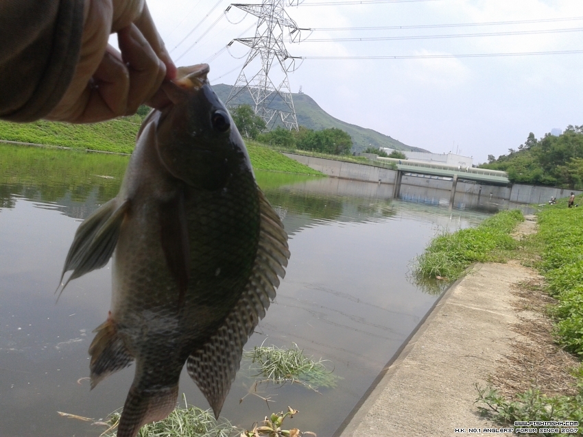 20150719_121324.jpg