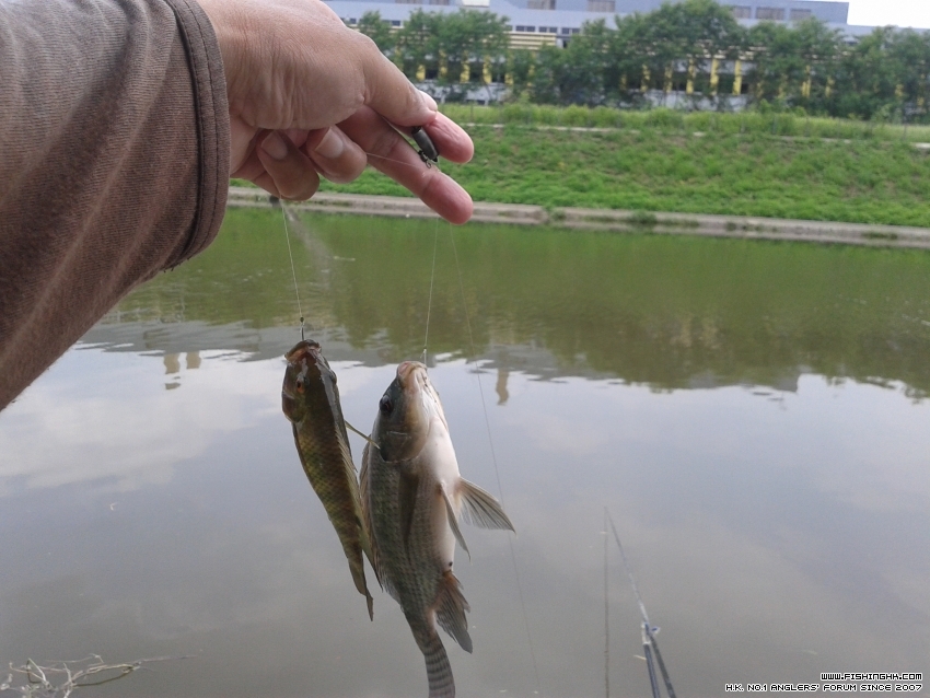 20150719_130039.jpg