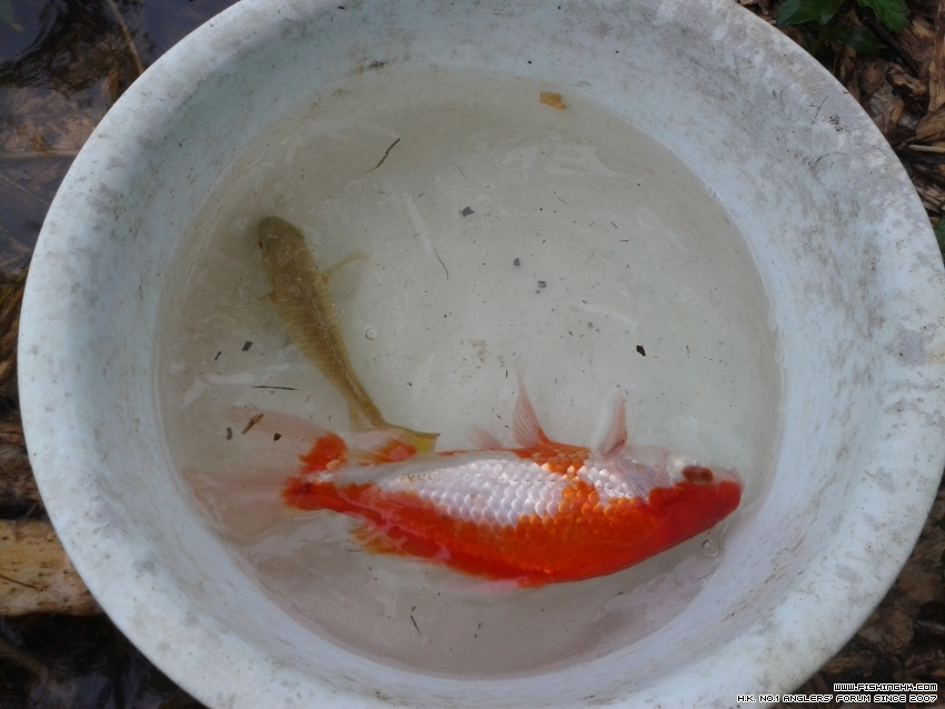 20150725_095140.jpg