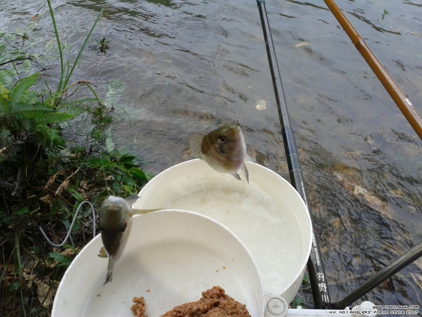 20150725_110645.jpg