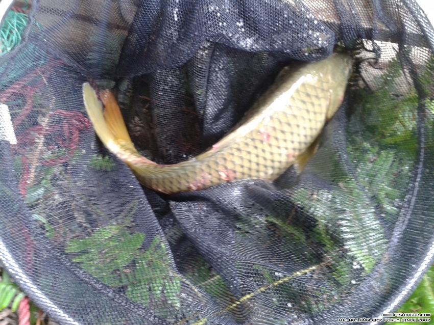 20150726_123822.jpg