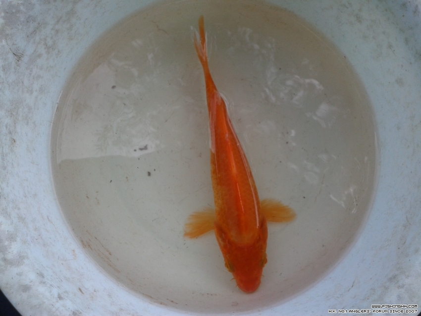 20150726_141423.jpg