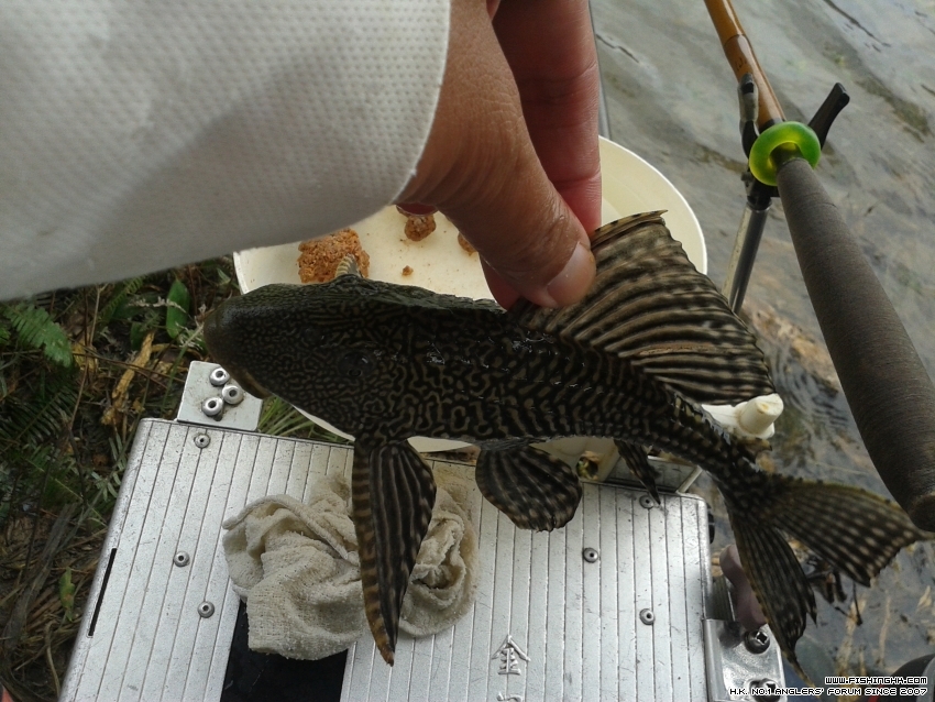 20150726_143859.jpg