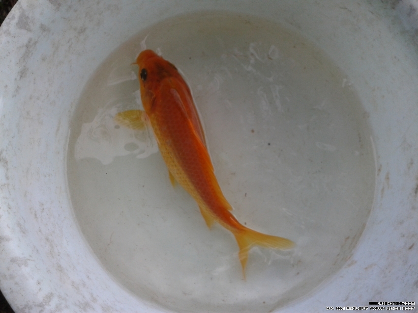 20150726_144918.jpg