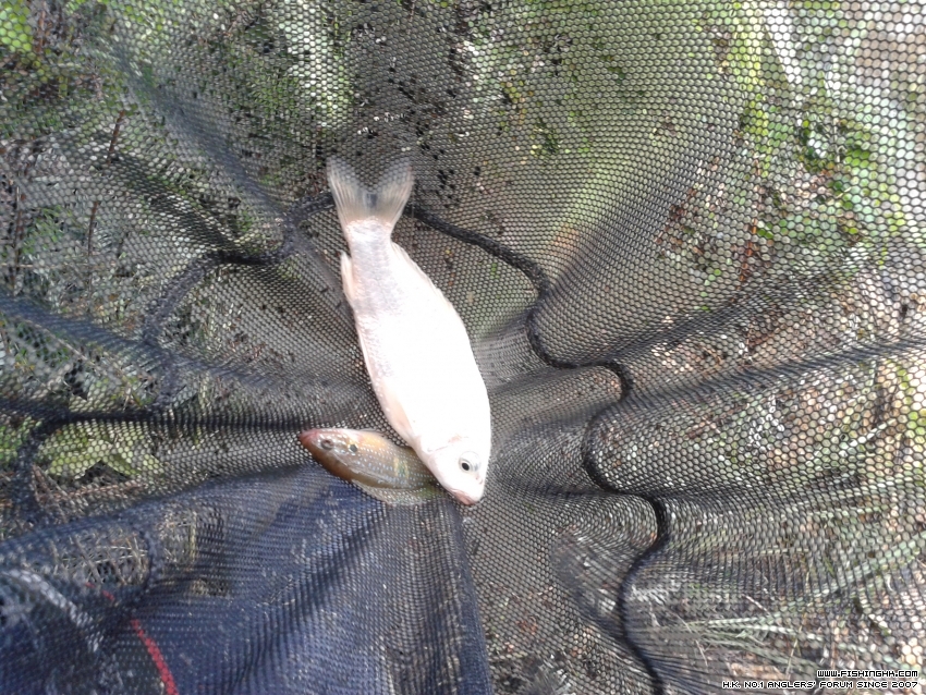 20150726_144941.jpg