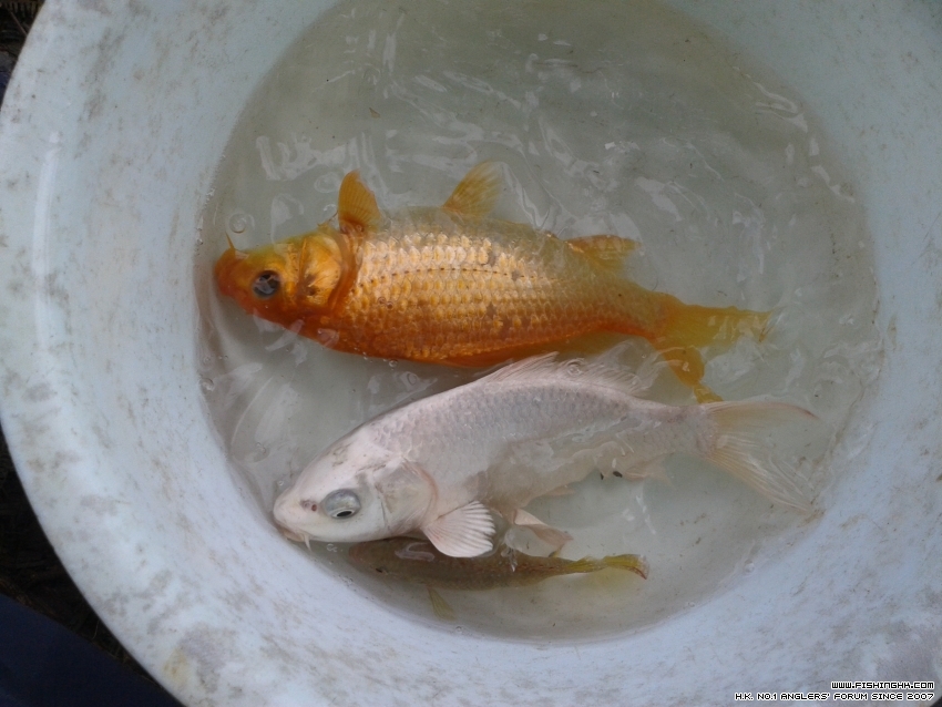 20150726_145009.jpg