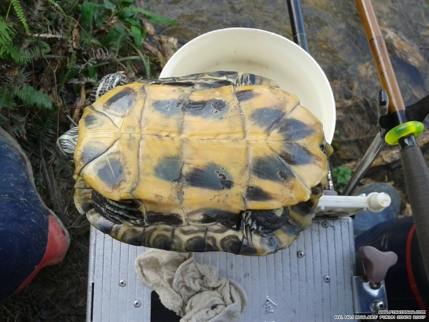 20150726_165038.jpg