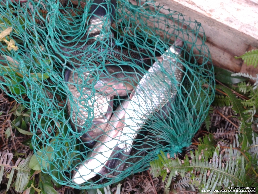 20150726_170927.jpg