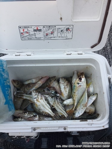 20150809_155325.jpg