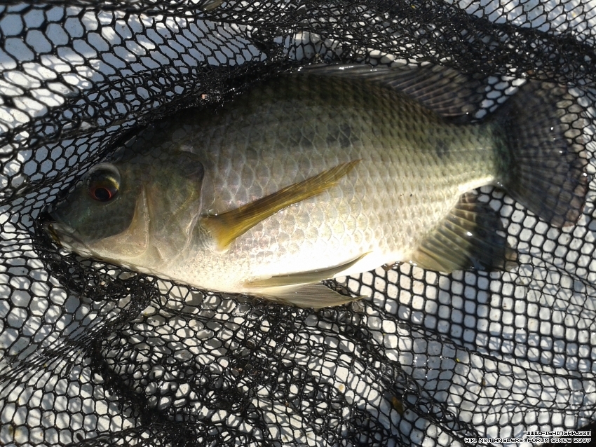20151018_141159.jpg