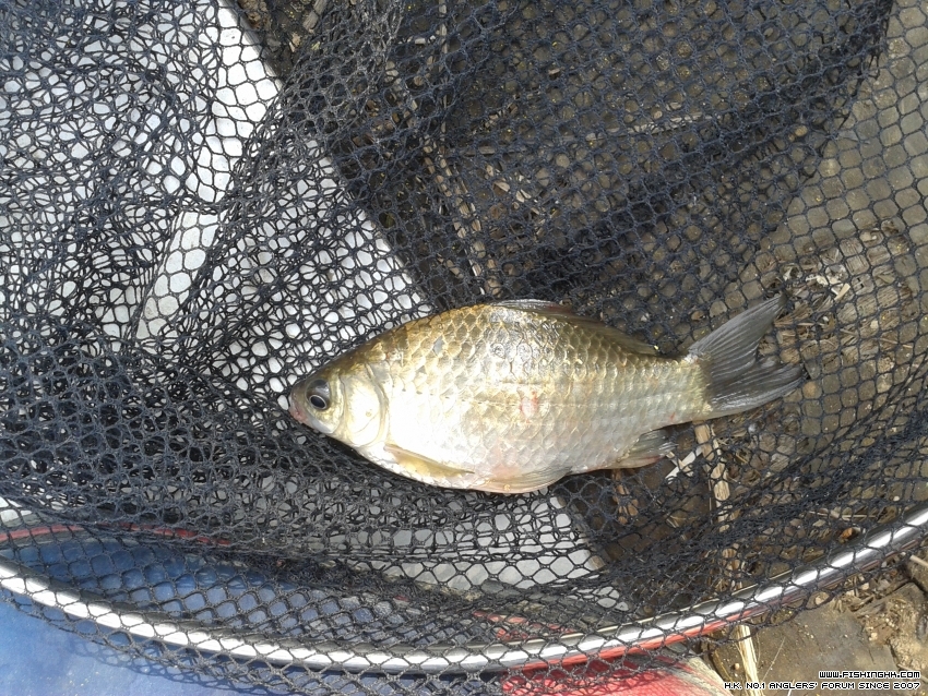 20151018_145353.jpg