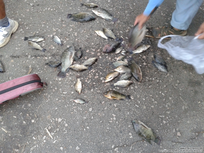 20151018_174435.jpg