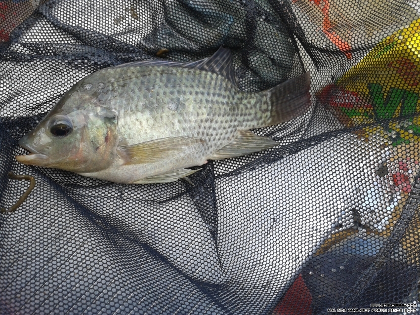 20151024_093947.jpg