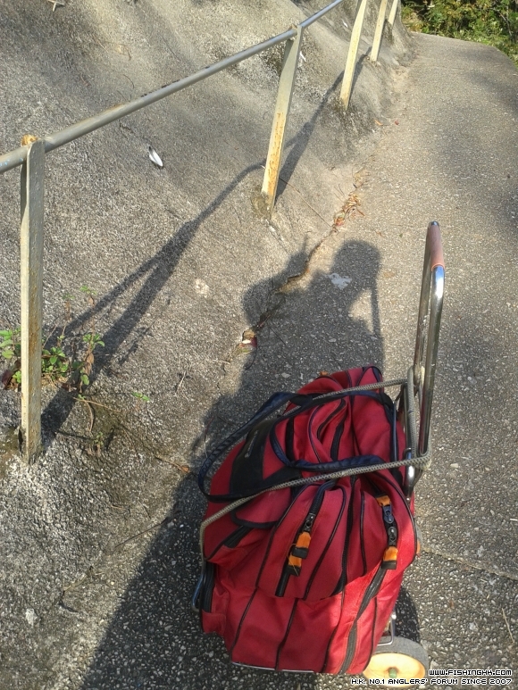 20151025_073753.jpg