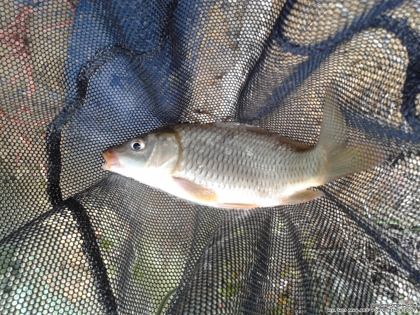 20151025_122726.jpg