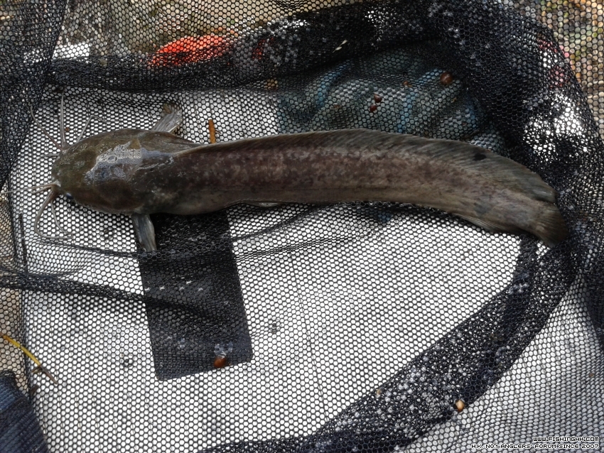 20151031_095555.jpg