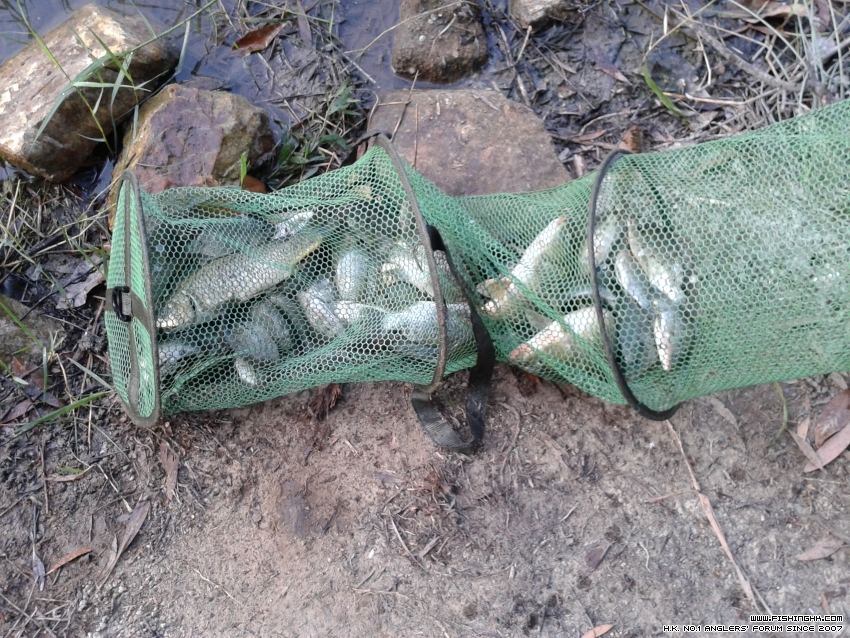 20151031_161510.jpg
