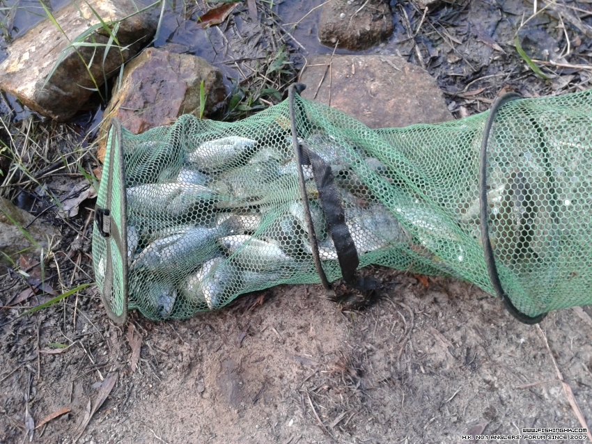 20151031_161520.jpg