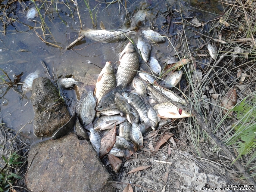 20151031_161549.jpg